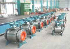 ��ľ����������y